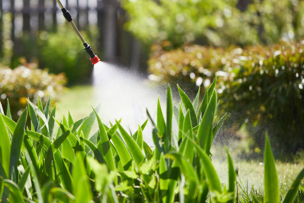 Tamper-Resistant Bait Stations for Rodents in Arlington