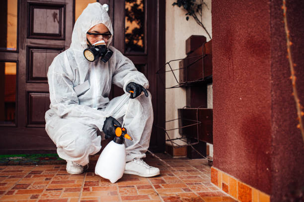Attic and Crawl Space Rodent Treatment in Arlington
